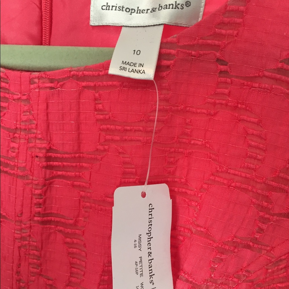 Dress- Christopher and Banks